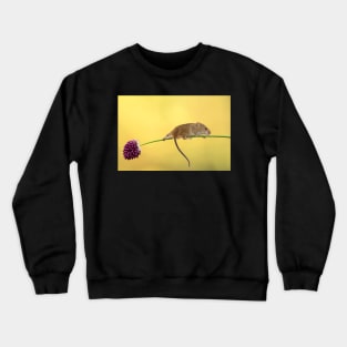 The trapese artist Crewneck Sweatshirt